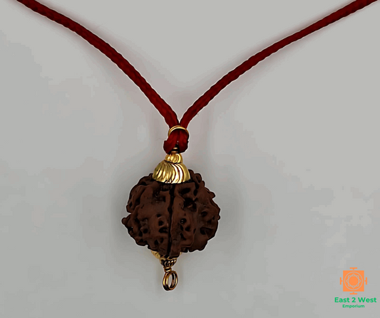 5 Mukhi Rudraksha necklace - East 2 West Emporium